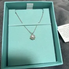 Item thumbnail for item 69c37848-6571-4b04-b700-f525899d68dd