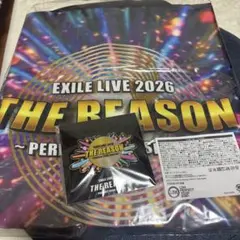 EXILE THE REASON アプグレグッズ 法被＆ピンバッジ