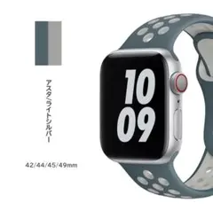 スポーツバンド 42/44/45/49mm アスタ/ライトシルバー