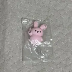 muziktiger ポルミ