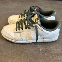 Nike Dunk Low Retro SE