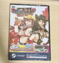 お姉チャンバラZ2 ～カオス～ Windows Steam版 PC