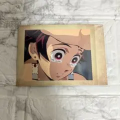 鬼滅の刃　ぱしゃこれ　柱稽古編　竈門炭治郎　涙