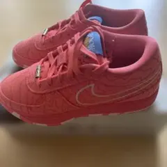 Nike Book 1 セドナ25.5㎝のサムネイル