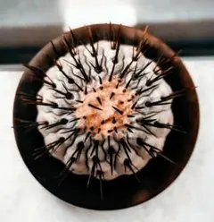 2026年最新】孤竜丸の人気アイテム - メルカリ