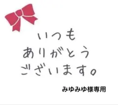 みゆみゆ様専用