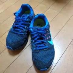 Item thumbnail for item ee032808-44aa-4e31-8f06-bda174e92418