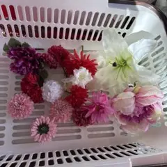 Item thumbnail for item c0ddbb99-145d-46da-b0d2-d35e6297199d