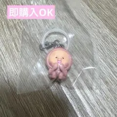 こびとずかん めじるしアクセサリー2 シークレット　カクレモモジリ