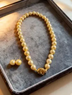 Item thumbnail for item 10872780-1ac0-4d30-b447-df66a71b8bf9