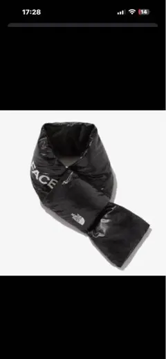 【 日本未入荷 】 韓国 ノースフェイス ティーボール マフラー NA5IP51