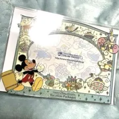 ディズニーリゾート ミッキー フォトフレーム バケーションパッケージ 写真立て