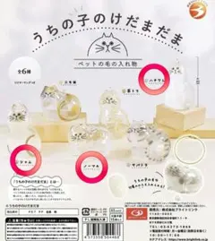 うちの子のけだまだま 3種類 シャム ノーマル ハチワレ