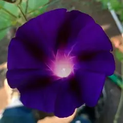 ひろ様 リクエスト 4点 まとめ商品