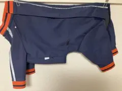 Item thumbnail for item 3cd53ca4-91a8-4a66-aecc-54d8a43f6243