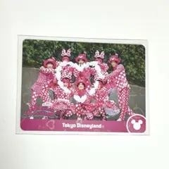 ディズニー ミニーのファンダーランド パルパル コレクションカード