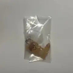 ノンタン めじるしアクセサリー たぬき