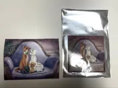 ディズニー　シークレット　ポケットティッシュケース