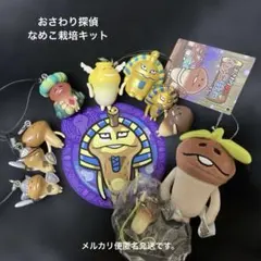 み*♡様 おさわり探偵なめこ栽培キット まとめ売り