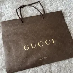 GUCCI ロゴ入り 大きめ紙袋
