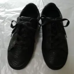 Item thumbnail for item 83108398-0a3e-45da-9dbb-df6458581120