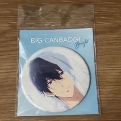2026年最新】free! 缶バッジ 七瀬遙の人気アイテム - メルカリ