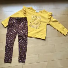 Item thumbnail for item 284cff4d-0f1d-4357-97f0-5c6e68a4b867