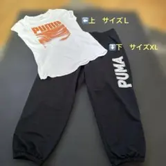 PUMA スポーツウェア セット