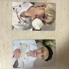 ジウンキムジウントレカシーグリゼ ベワン Zb1