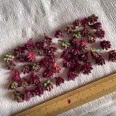 Yumi様 リクエスト 2点 まとめ商品