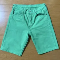 C*H様 Stussy BIGOL Jean レザーショーツ グリーン 30 - メルカリ