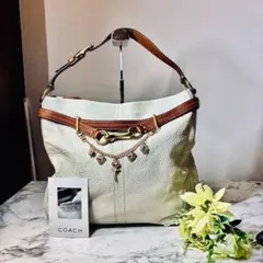 Item thumbnail for item 791fc6d7-c4f9-43f5-9348-21d039dc4e87