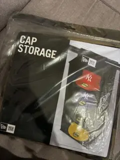 NEW ERA CAP STORAGE 迷彩柄のサムネイル