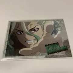 Dr.STONE 石神千空 トレーディング場面写チェキ風ブロマイド 4枚セット