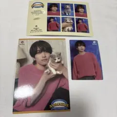 2026年最新】ANIMAZZELの人気アイテム - メルカリ