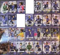 【300円〜】サンフレッチェ広島レジーナ オンサイトカード Nカード26種セット