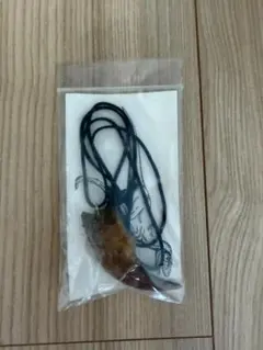 新品未使用 チョーカー