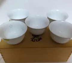 Item thumbnail for item 83ca77dc-15d2-4968-8692-1f5c13889029