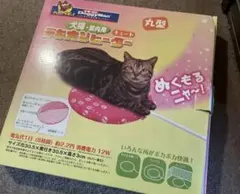 Item thumbnail for item d4a31302-c2ee-49e6-9a72-d9f1e812ed87