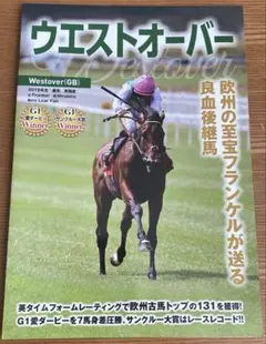 Item thumbnail for item 21872b74-c5bf-4f1c-be3d-99a2800b5702