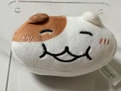 Item thumbnail for item 3d68a2d2-d379-4ec0-b637-1f8fc5a77864