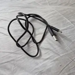 タイプCケーブル 約1m