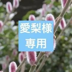 愛梨様 リクエスト 2点 まとめ商品