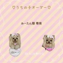 羊毛フェルト うちの子オーダー　みーたん様専用