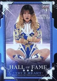 Item thumbnail for item 71646fb8-da8e-4b7b-8849-eb5c135659c6