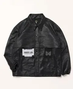 Item thumbnail for item 7d9eafa1-1ecc-4727-806c-5d511cdec60e