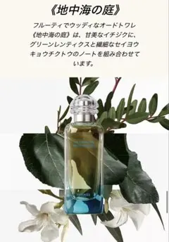 香水空瓶】エルメス庭シリーズ100ml サイズ×8箱付 - メルカリ