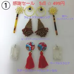 ①5点(ペア)ピアスセット　感謝セール499円