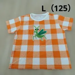 インセクトコレクション　カマキリTシャツ　120 125 130