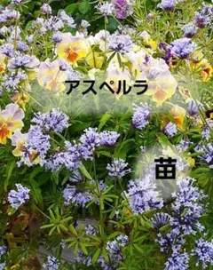 みゃ。様 リクエスト 2点 まとめ商品